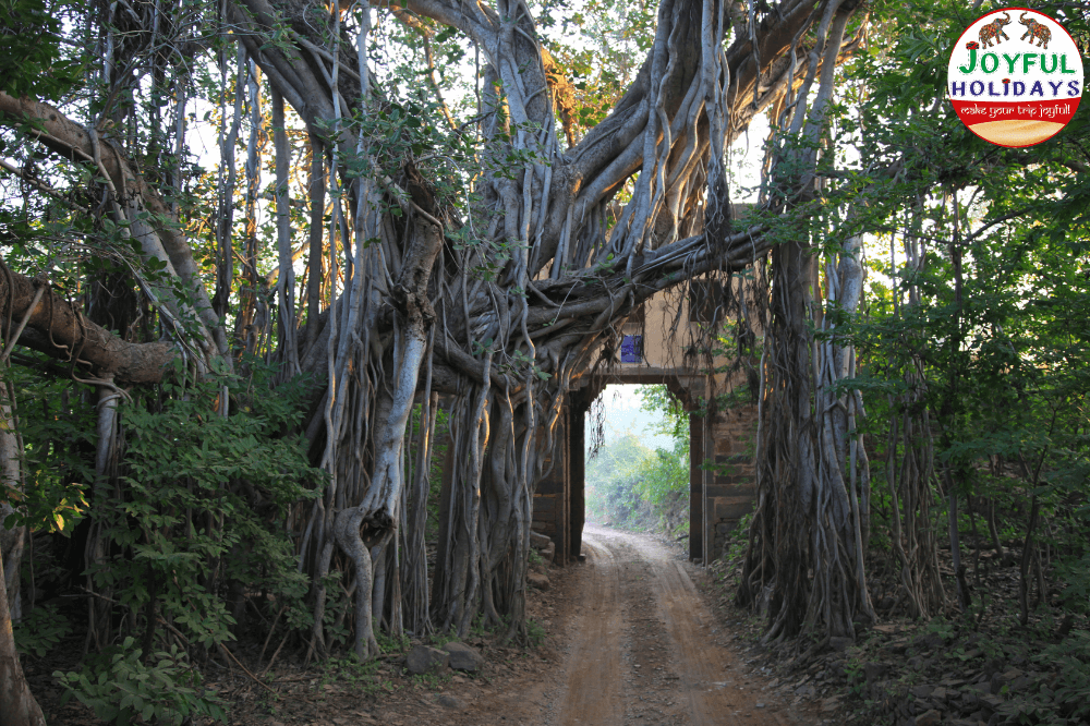Golden Triangle Tour with Ranthambore 4 Days