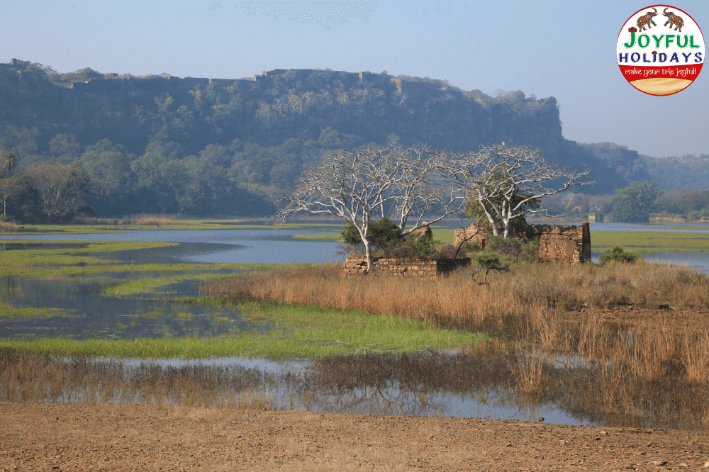 Golden Triangle Tour with Ranthambore 7 Days