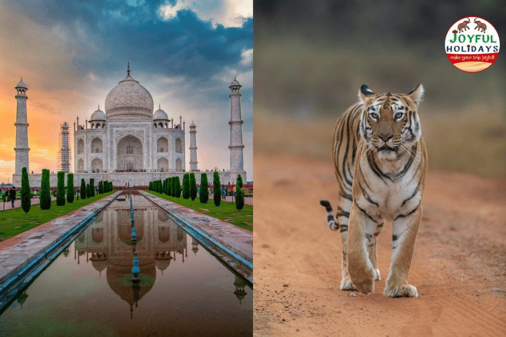 4 Days Taj Mahal Tour with Ranthambore Tiger Safari