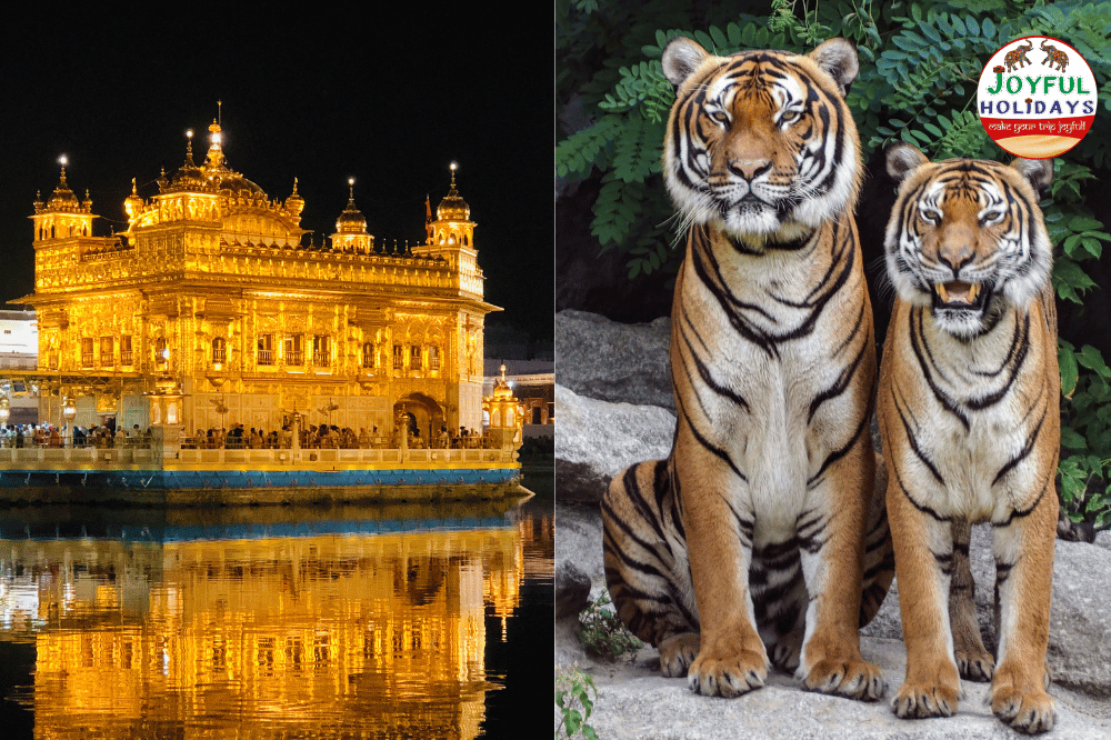 9 Days Delhi Agra Jaipur Ranthambore Amritsar Tour