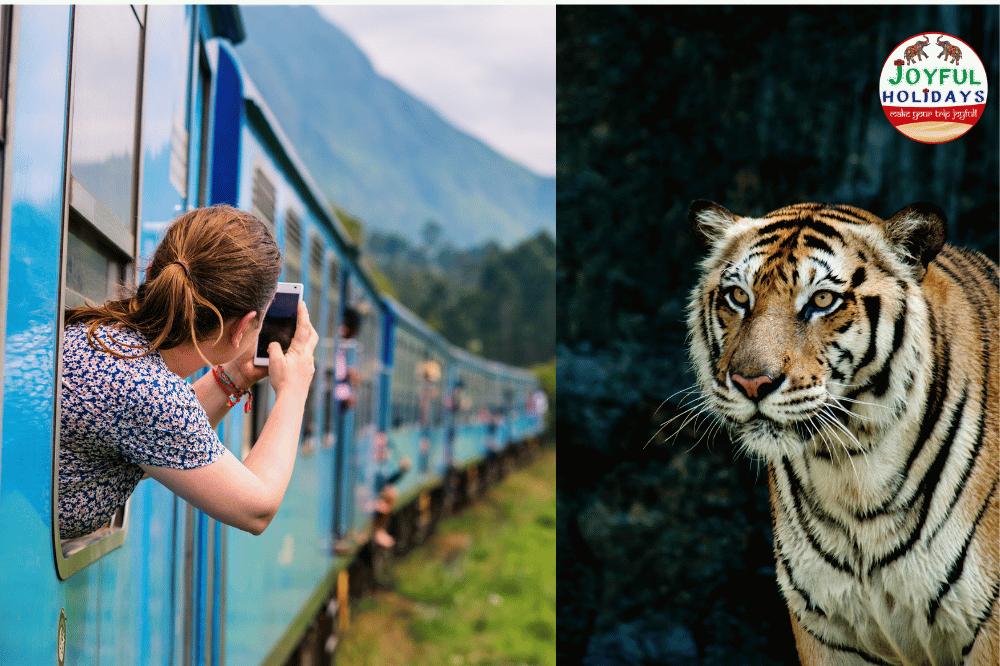 7 Day Golden Triangle Tour with Train Ride and Tigers