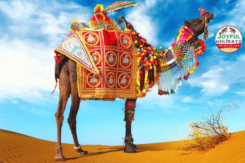 Rajasthan Desert Tour from Taj to Thar
